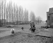 858734 Gezicht op het terrein bij de voormalige wasserij Staatsen (Rotsoord 24) te Utrecht.